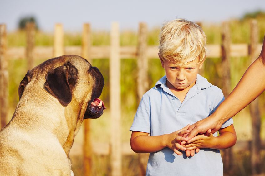 Una de las muchas lesiones psicológicas causadas por las mordidas de perros es el trastorno por estrés postraumático. Consultas Gratuita: 866-243-8392