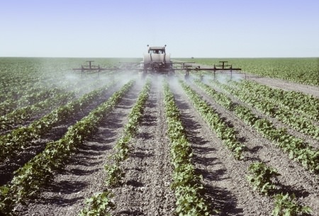 glifosato, ingrediente en Roundup, demanda de roundup, monsanto