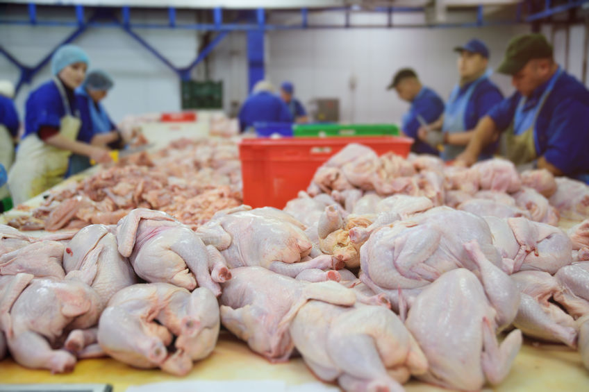 trabajadores de fábricas de procesamiento de carne
