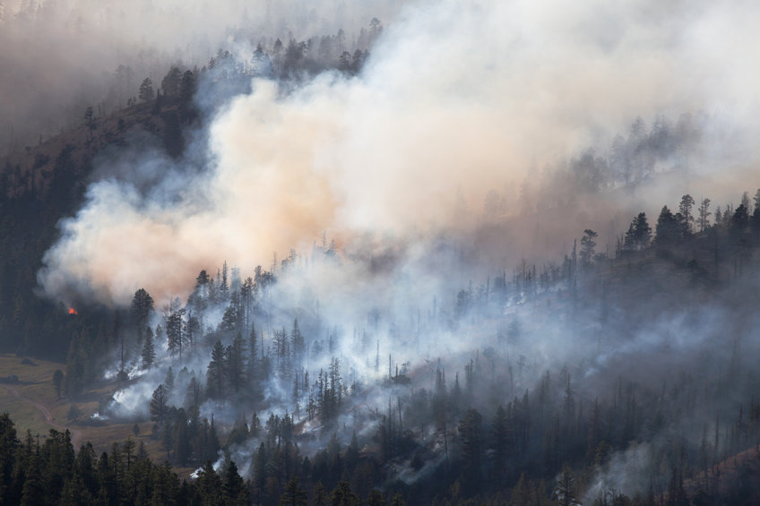 Un abogado de Dixie Fire Lawsuit podrá ayudarlo a navegar las secuelas del furioso incendio forestal de California.