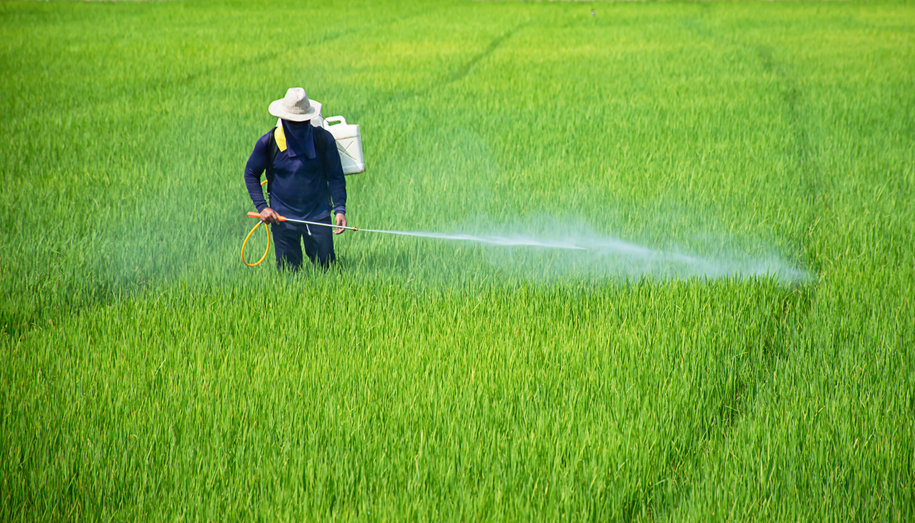 Debido a los peligros de la exposición al paraquat, es necesario tener una certificación de paraquat para poder utilizar el herbicida.