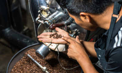 Cafetalero Trabajando Sin Protección Se Arriesga A Bronquiolitis Obliterante También Conocida Como Pulmón De Palomitas De Maíz.