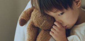 retiro de mercado de peluches de Hobby Lobby