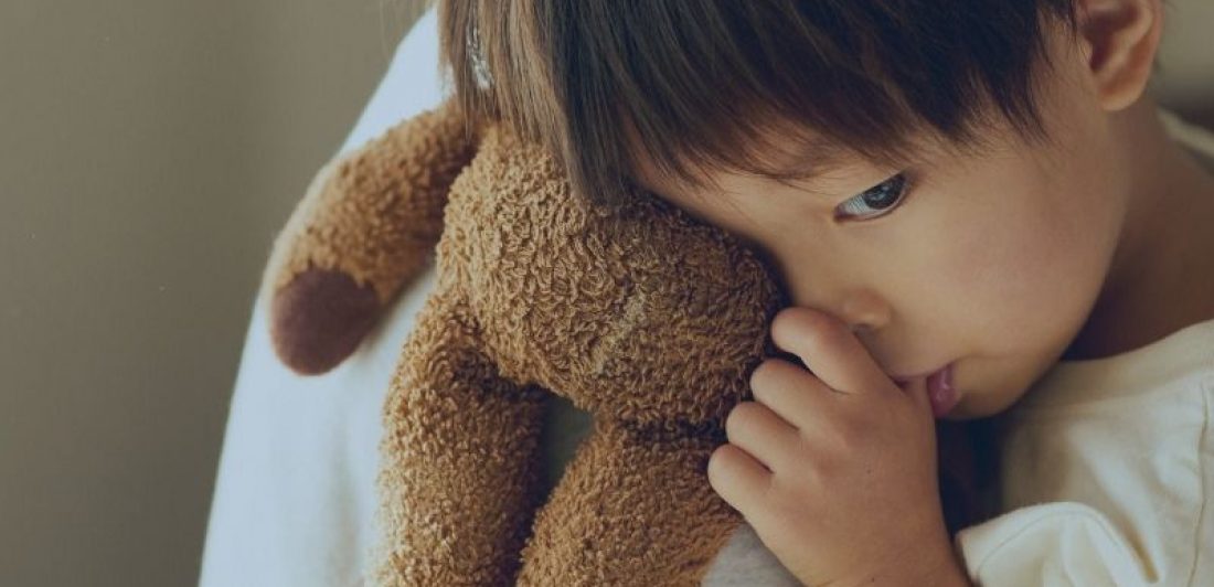 retiro de mercado de peluches de Hobby Lobby