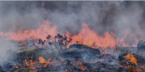Me puedo enfermar con el humo de los incendios forestales