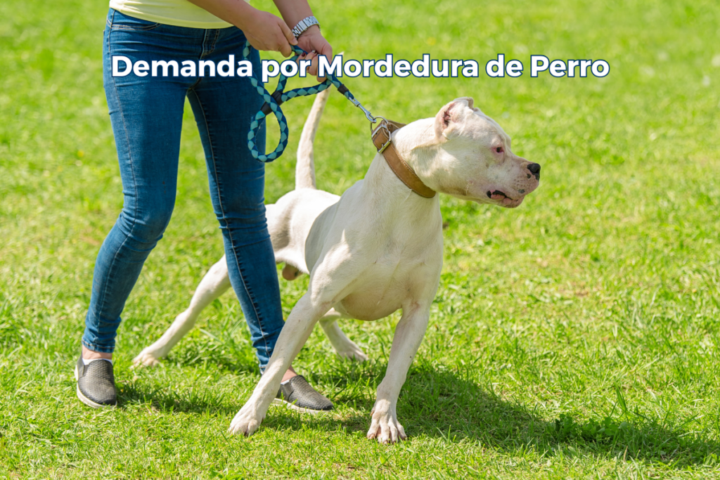 abogado mordedura de perro