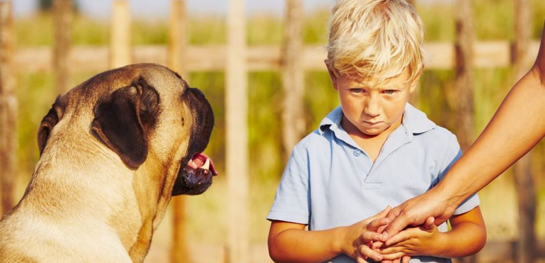 Una de las muchas lesiones psicológicas causadas por las mordidas de perros es el trastorno por estrés postraumático. Consultas Gratuita: 866-243-8392
