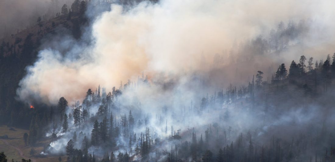 Dixie fire lawsuit A Dixie Fire Lawsuit lawyer will be able to help you navigate the aftermath of the raging California wildfire.