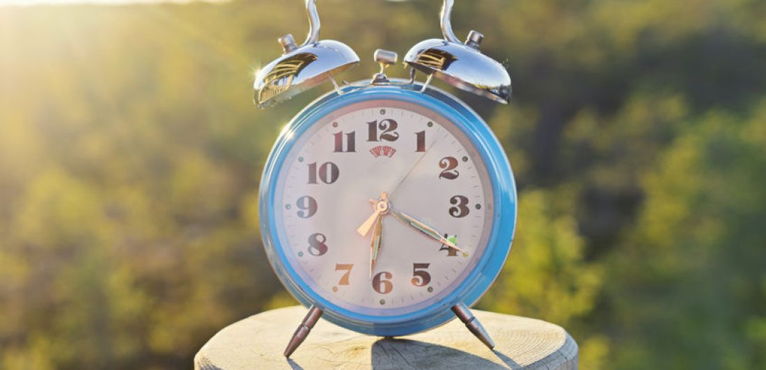 Vintage blue alarm clock on summer forest background