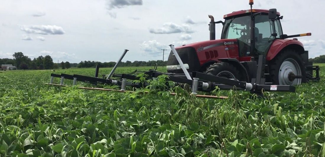 matar las malezas con electricidad