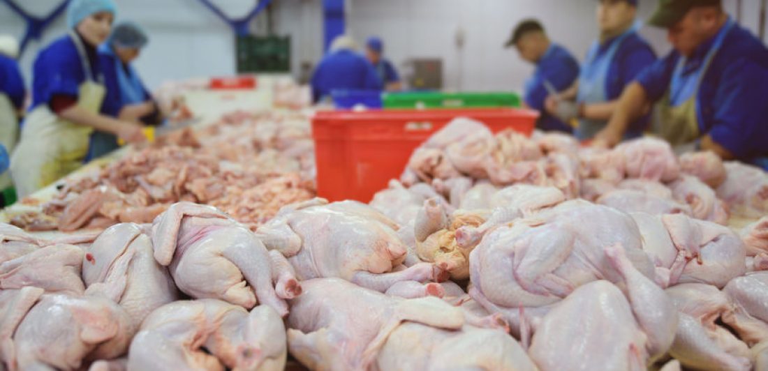 trabajadores de fábricas de procesamiento de carne